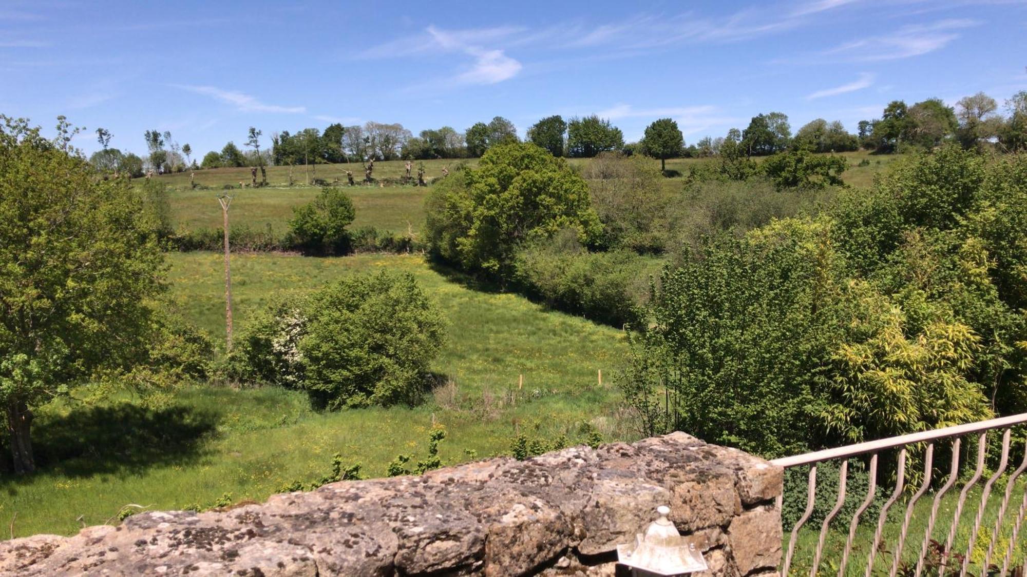 Papillons B&B - Beauty, Comfort And Peace 25 Mins From Puy Du Fou Montournais Exteriör bild