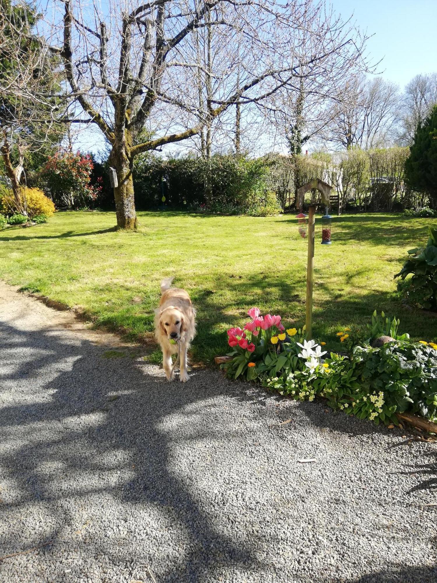 Papillons B&B - Beauty, Comfort And Peace 25 Mins From Puy Du Fou Montournais Exteriör bild